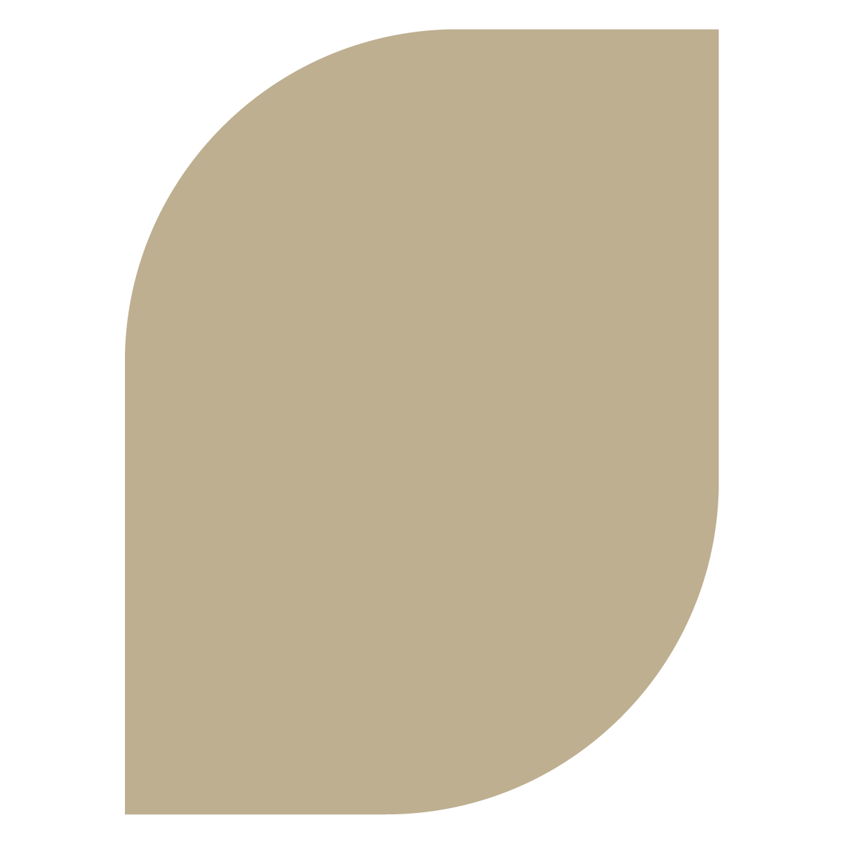 SWELL -practice　|　スウェルプラクティス